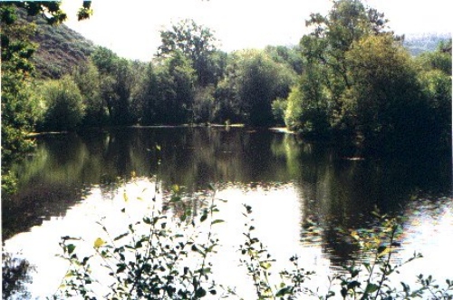 escarras_dame_lac.jpg (126531 bytes)