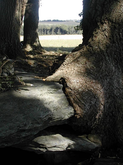 maison_trouve annick jacq.jpg (132653 bytes)