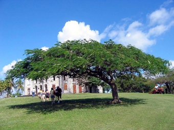 Alain_CHARLES.jpg (65571 bytes)