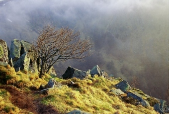 Gregsmellinckx.jpg (53783 bytes)