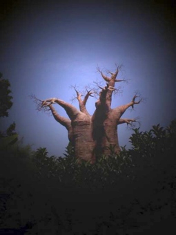 ana.jpg (31032 bytes)