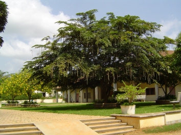 poulain.jpg (76960 bytes)