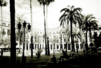 donny.jpg (62185 bytes)