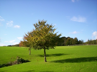 jaclas76.jpg (48918 bytes)