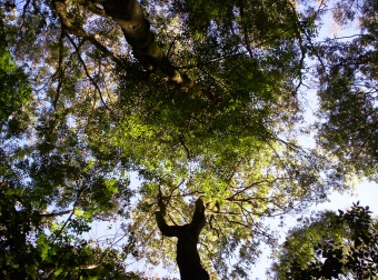 normanduhavre.jpg (102486 bytes)