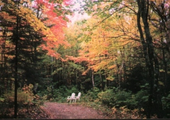 Grisou.jpg (70788 bytes)