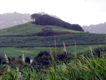 charles.jpg (53698 bytes)