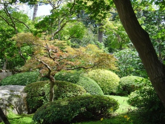 hubert.jpg (89080 bytes)