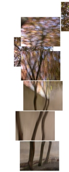 adam.jpg (23444 bytes)