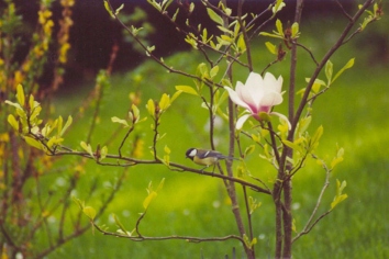 ef.jpg (58940 bytes)