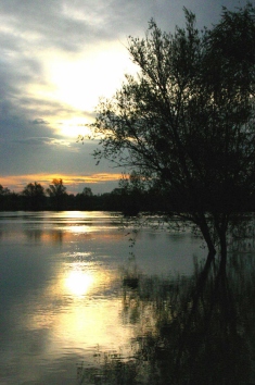 gegemotar.jpg (56831 bytes)