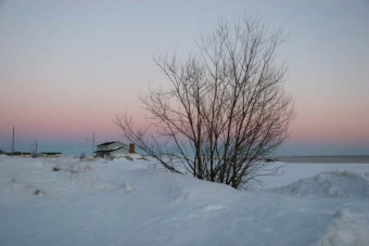 poitras.jpg (32127 bytes)