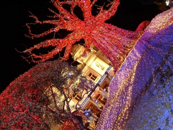 tinama06.jpg (88528 bytes)