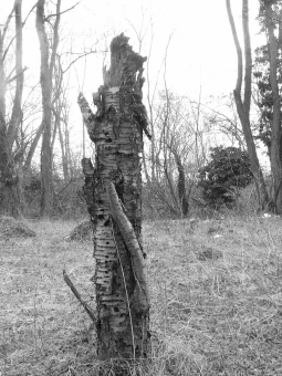 vilyalda2.jpg (66572 bytes)