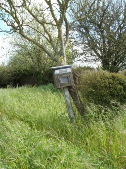 yannjade.jpg (89509 bytes)