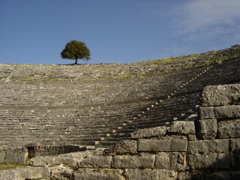 anner.jpg (61762 bytes)