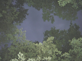 chappuis.jpg (58459 bytes)