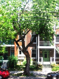 demorizi.jpg (90734 bytes)