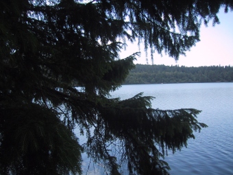 fourcadier.jpg (62351 bytes)