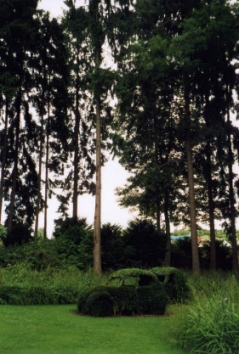 francineb.jpg (68594 bytes)