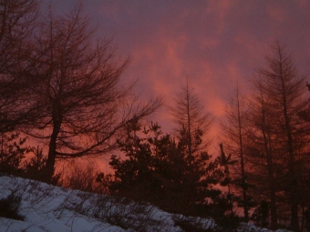 robinet.jpg (55448 bytes)