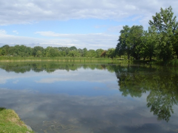 deschene.jpg (48228 bytes)