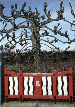 francineb.jpg (75980 bytes)