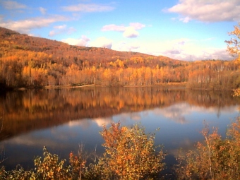 jocelyne.jpg (60491 bytes)