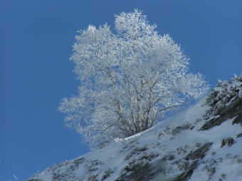 eric.jpg (74303 bytes)