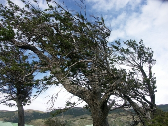 mro2.jpg (108960 bytes)