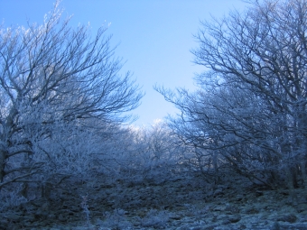 rancoule.jpg (95363 bytes)