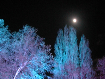 toderi.jpg (77878 bytes)