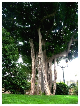 yoan.jpg (108524 bytes)